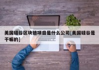 美国硅谷区块链项目是什么公司[美国硅谷是干嘛的]