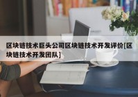 区块链技术巨头公司区块链技术开发评价[区块链技术开发团队]